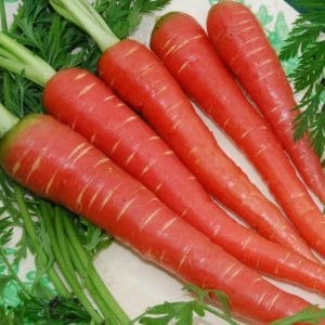 comprar organico cenoura atomic red 2 7 e1494732037982