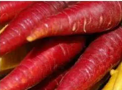 comprar organico cenoura atomic red 2 9 e1494731901216