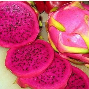 sementes de frutas pitaya vermelha dragon fruit 1745 e1495130763588
