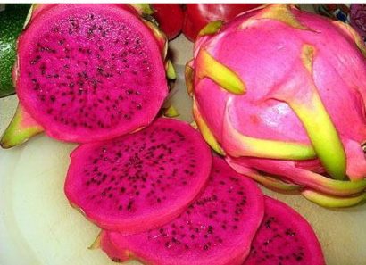 sementes de frutas pitaya vermelha dragon fruit 1745 e1495130763588