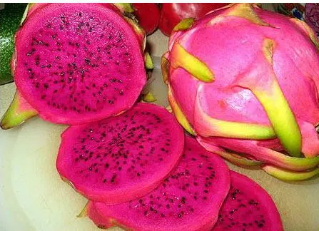 sementes de frutas pitaya vermelha dragon fruit 1745 e1495130763588