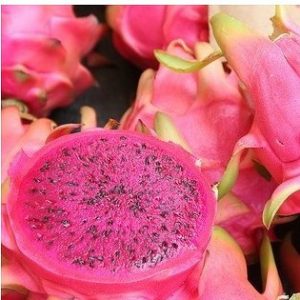 sementes de frutas pitaya vermelha dragon fruit 2 2 e1495130704199