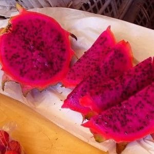 sementes de frutas pitaya vermelha dragon fruit 2 3 e1495130679641