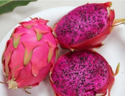 sementes de frutas pitaya vermelha dragon fruit 2 4 e1495130648350