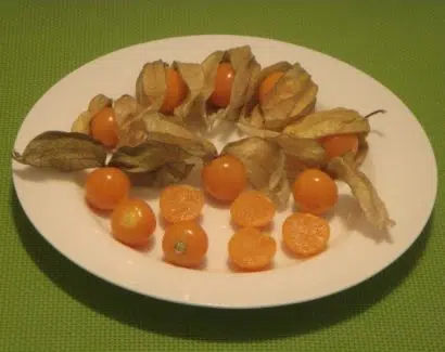sementes de physalis fruta golden berry 2 16 e1494729278451