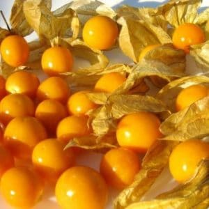 Sementes de Physalis Fruta (Golden Berry)