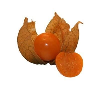 sementes de physalis fruta golden berry 2 20 e1495130803515