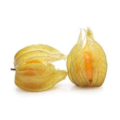 sementes de physalis fruta golden berry 5085 e1499563163985