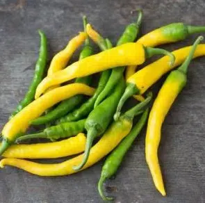 sementes de pimenta cayenne amarela 2 2 e1494867336694