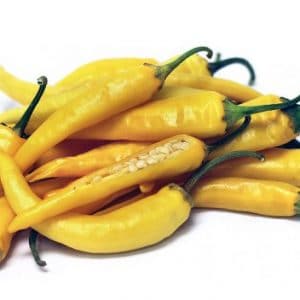 Sementes de Pimenta Cayenne Amarela