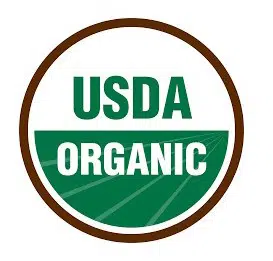 sementes organicas cenoura solar amarela 2 e1495134650781