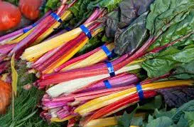 Sementes de Acelga Arco-Iris Colorida: 50 Sementes - Só Flor Sementes