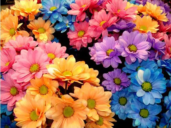 fertilizante forth flores 60ml 2 4 e1494884221878