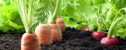 fertilizante forth hortalicas balde 400g 2 12 e1494866557123