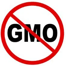 rucula organico 50 sementes 2 e1495479678652