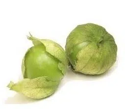 sementes de tomatillo 2 11 e1495479186156