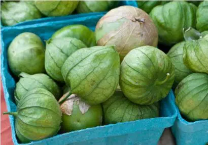 sementes de tomatillo 2 12 e1494859900707