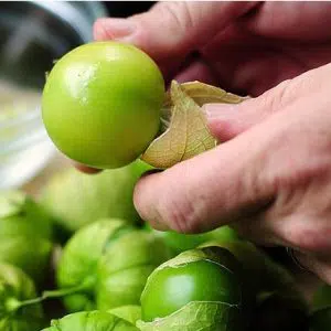 sementes de tomatillo 2 8 e1494859977496