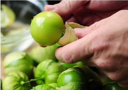 sementes de tomatillo 2 8 e1494859977496