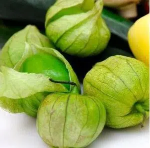 sementes de tomatillo 2 e1494860140289
