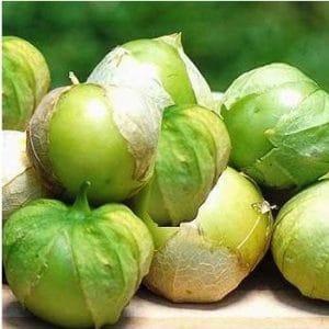 sementes de tomatillo 8109 e1494860166766