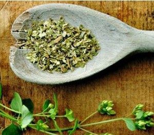 sementes organicas de oregano 2 11 e1494860315769