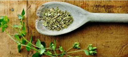 sementes organicas de oregano 2 11 e1494860315769