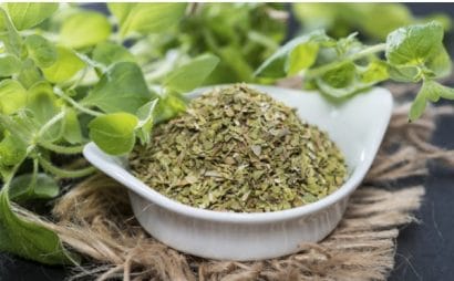 sementes organicas de oregano 2 e1494860501728