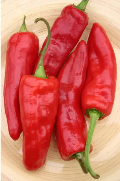 comprar sementes organicas de pimentao marconi 2 3 e1494859229859