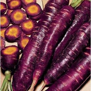 sementes de cenoura cosmic purple 2 3 e1494859734719