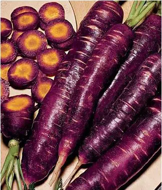 sementes de cenoura cosmic purple 2 3 e1494859734719