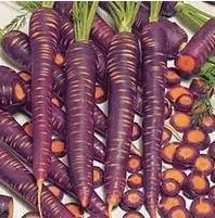 sementes de cenoura cosmic purple 2 e1495479034427