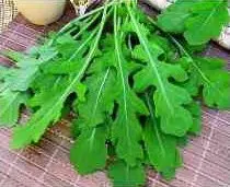 sementes de rucula rokita 2 2 e1495478525408