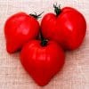 ox heart tomato