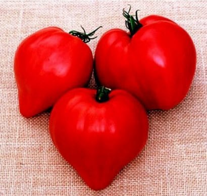 ox heart tomato