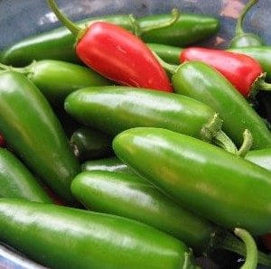 pimenta jalapenho jalapeno 20 sementes 2 5 e1494769426480