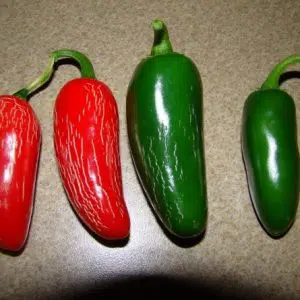 pimenta jalapenho jalapeno 20 sementes 2 7 e1494769374809