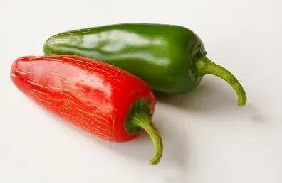 pimenta jalapenho jalapeno 20 sementes 2 e1494769494609