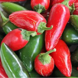 pimenta jalapenho jalapeno 20 sementes 4257 e1494702853826