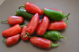 pimenta tam mild jalapeno 0960 e1495561185949