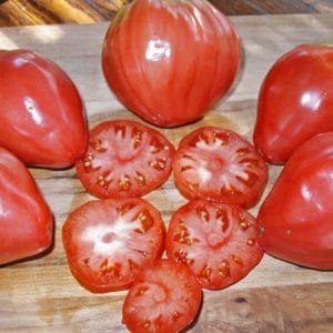 sementes de tomate coracao de boi 2 3 e1494767648360