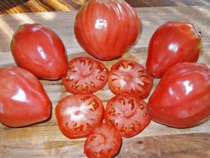 sementes de tomate coracao de boi 2 3 e1494767648360