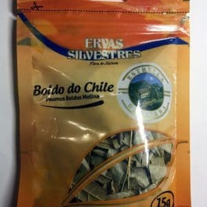 Boldo Do Chile Para Chá Peumus Boldus Molina