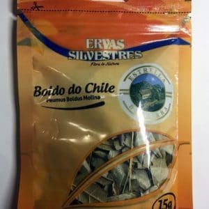 boldo do chile para cha peumus boldus molina 1746 e1494704161757