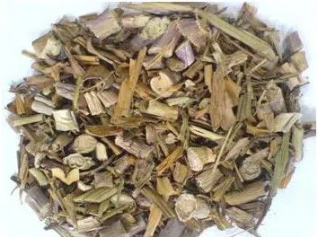 cana do brejo para cha 2187 e1494702641305