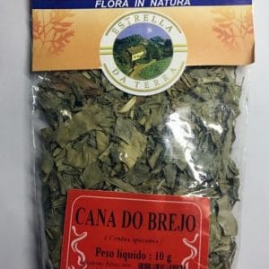 cana do brejo para cha costus spicatus 2391 e1494702620345