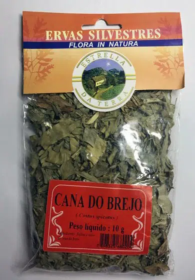 cana do brejo para cha costus spicatus 2391 e1494702620345