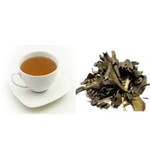 canela de velho para cha 0997