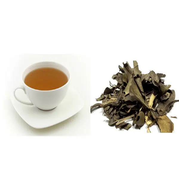 canela de velho para cha 0997