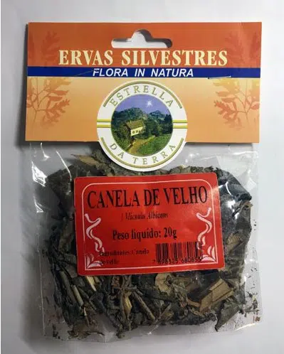 canela de velho para cha miconia albicans 4301 e1494702532670